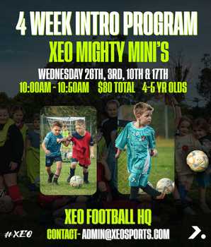 Mighty Mini's - 4 Week Intro Program