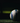 XEO 2026 Football